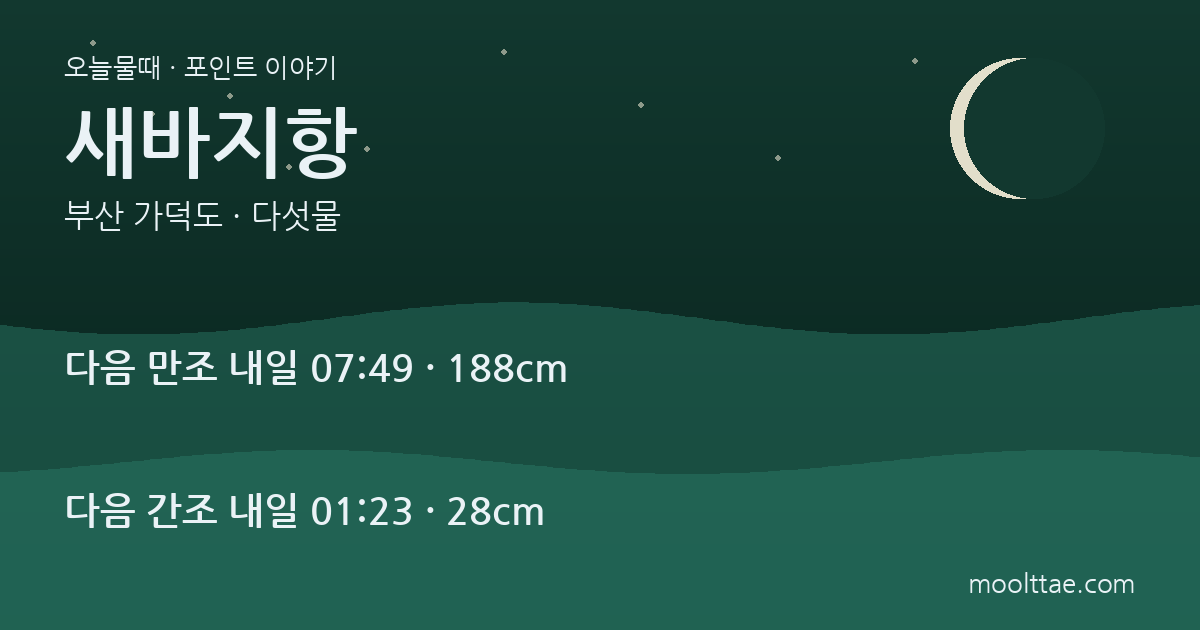가덕도 새바지항 낚시 — 일출 포구의 방파제와 갯바위 경계 대표 이미지