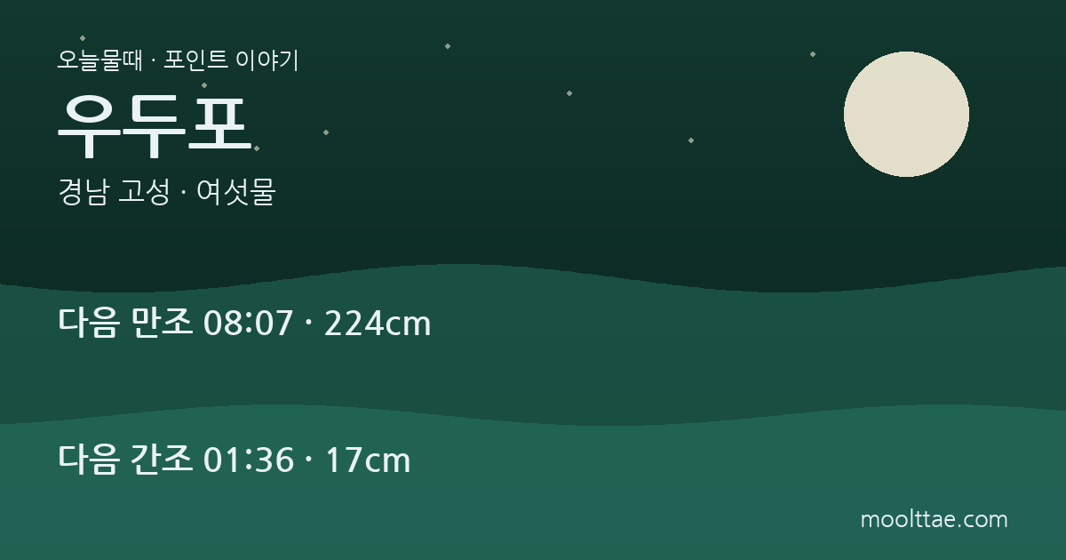 고성 우두포방파제 낚시 — 호래기 밤과 감성돔 낮을 나누는 법 대표 이미지