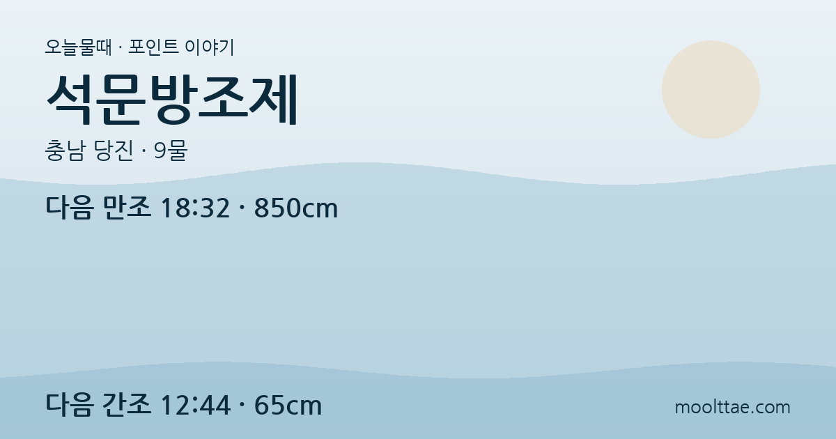 당진 석문방조제 — 마이너스 수위보다 돌밭 퇴로를 먼저 보는 해루질 대표 이미지
