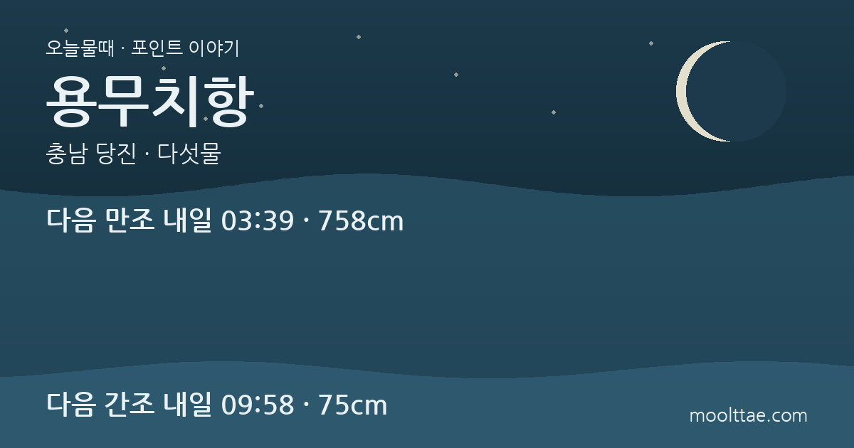 당진 용무치항 바지락 체험 — 차박 금지 뒤 달라진 이용법 대표 이미지