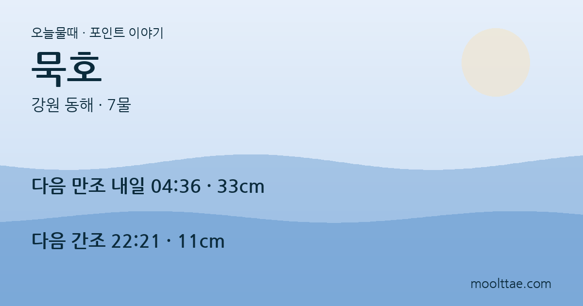 동해 묵호 — 조차 30cm 바다에서 해루질보다 원투낚시를 보는 이유 대표 이미지