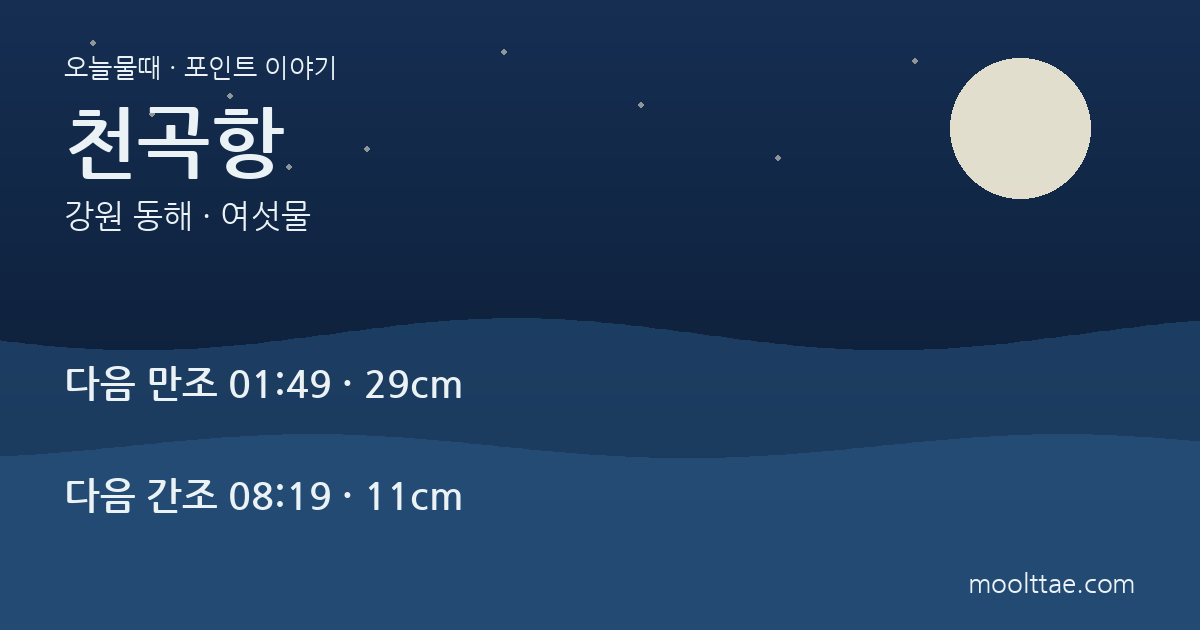 동해 천곡항·한섬방파제 — 테트라포드 과태료 전에 볼 안전선 대표 이미지