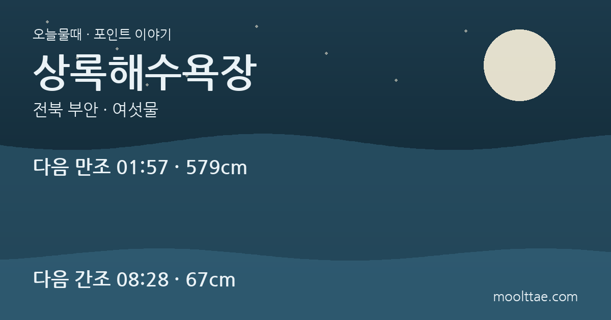 부안 상록해수욕장 — 갯벌에 그어진 보이지 않는 선 대표 이미지