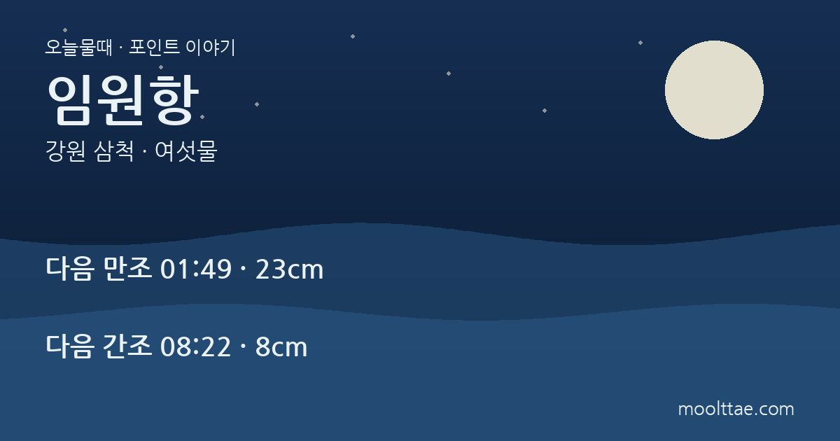 삼척 임원항 낚시 — 회센터와 방파제 사이에서 지킬 동선 대표 이미지
