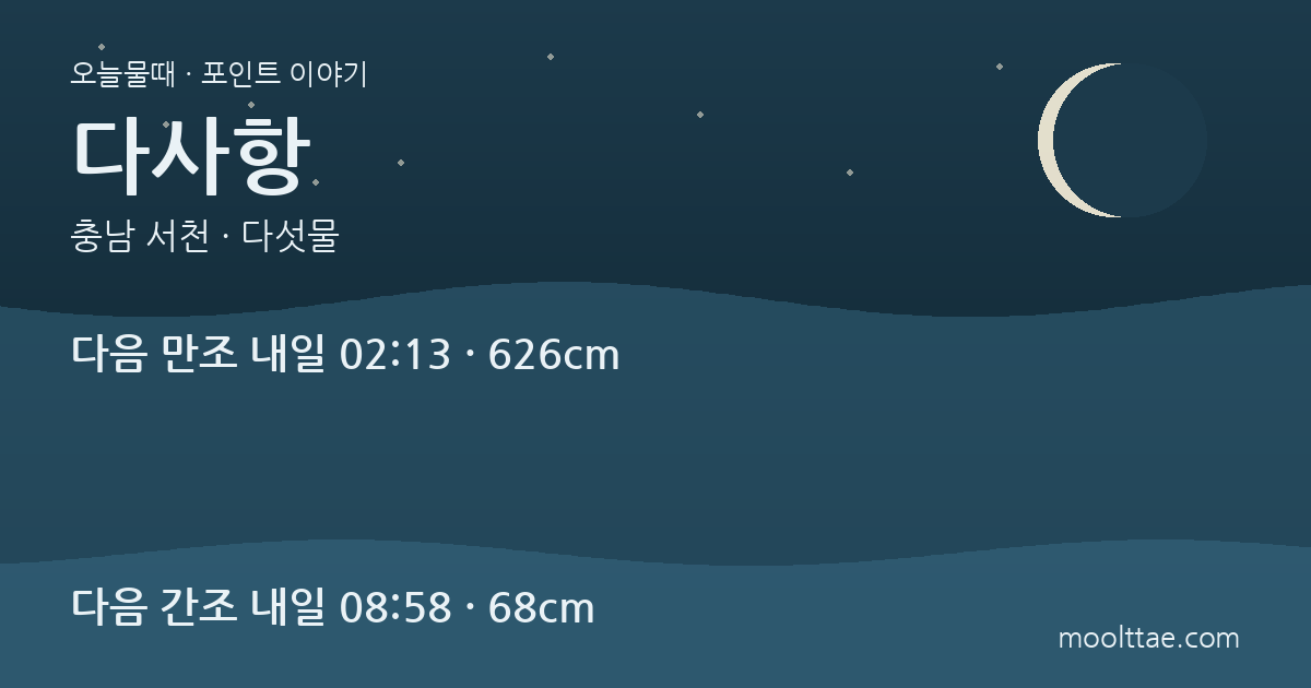 서천 다사항 동죽 갯벌 — 바닷길이 열려도 먼저 건너지 않는 이유 대표 이미지