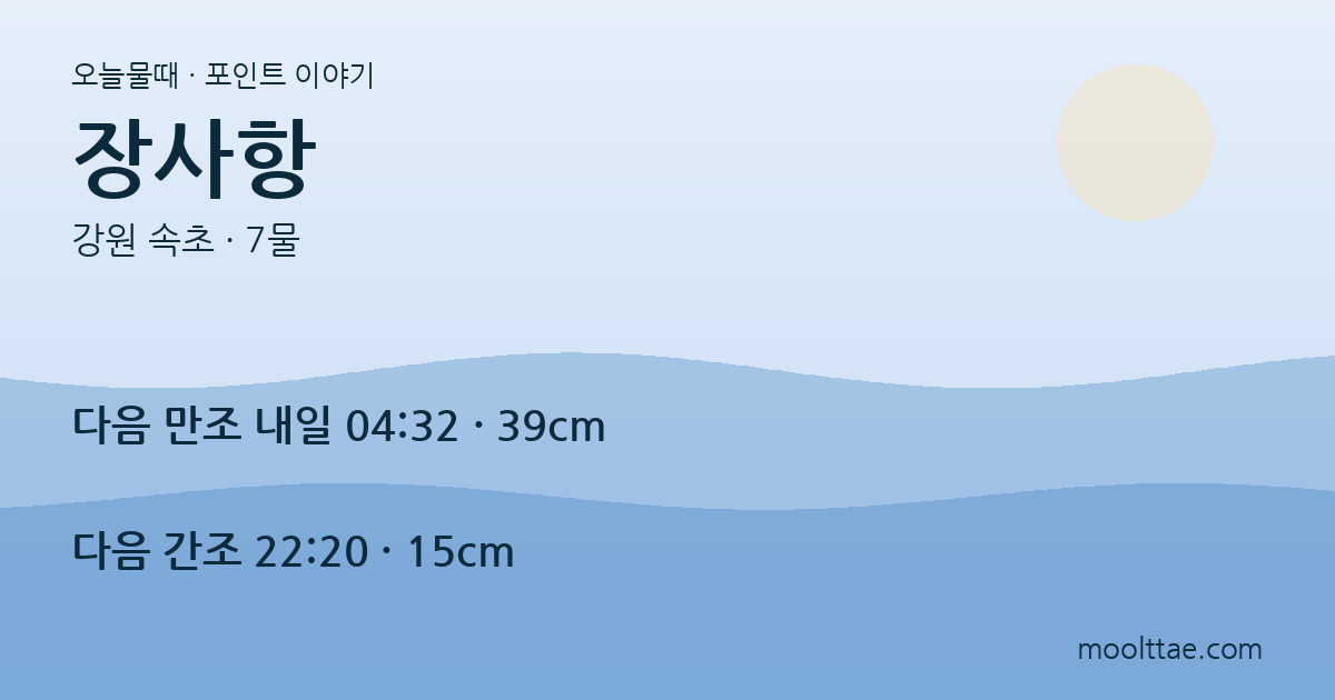 속초 장사항 — 스노클링·방파제낚시·배낚시를 한날에 섞지 않는 법 대표 이미지