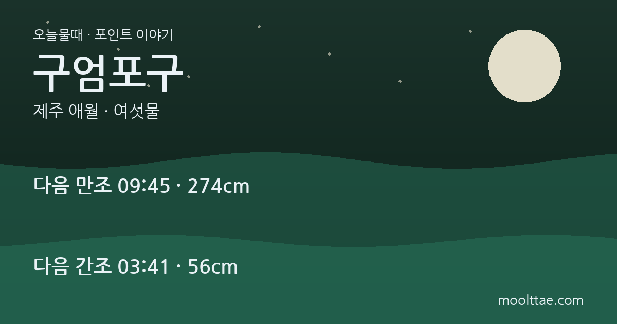 애월 구엄포구 낚시 — 돌염전과 무늬오징어 자리를 나눠 보는 법 대표 이미지