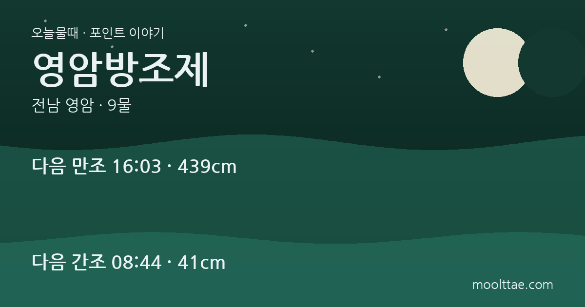 영암방조제 풀치낚시 — 긴 석축에서 주차와 퇴로를 먼저 고르는 법 대표 이미지