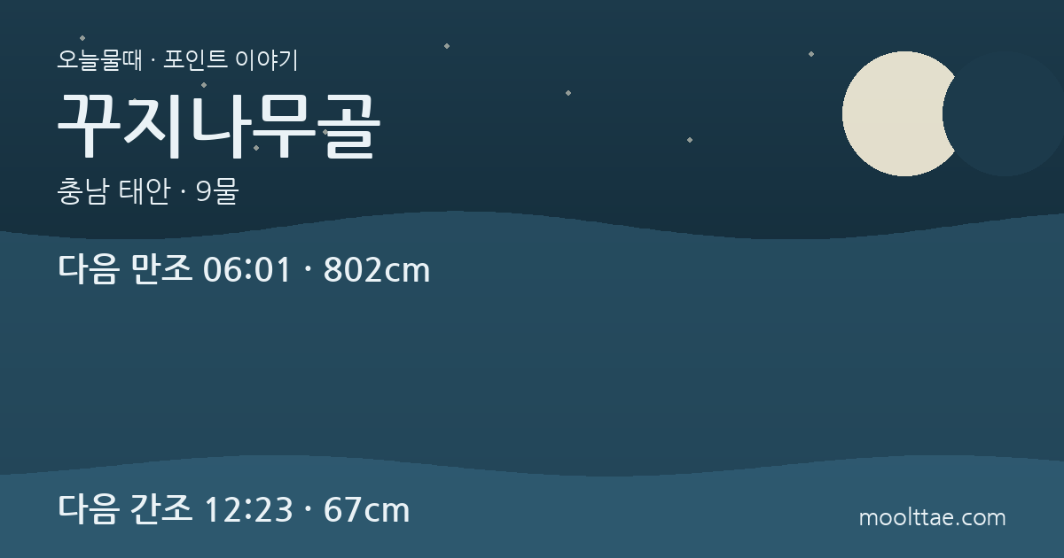 태안 꾸지나무골 — 캠핑장 앞 갯벌에서 노을과 해루질 시간 나누기 대표 이미지