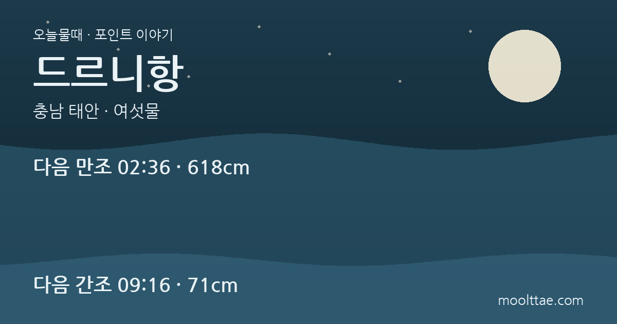 태안 드르니항 해루질 — 꽃게다리 아래 갯골을 먼저 보는 법 대표 이미지
