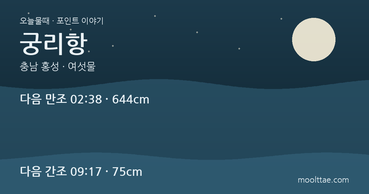 홍성 궁리항 해상낚시공원 — 천수만의 잔잔함만 믿지 않는 법 대표 이미지