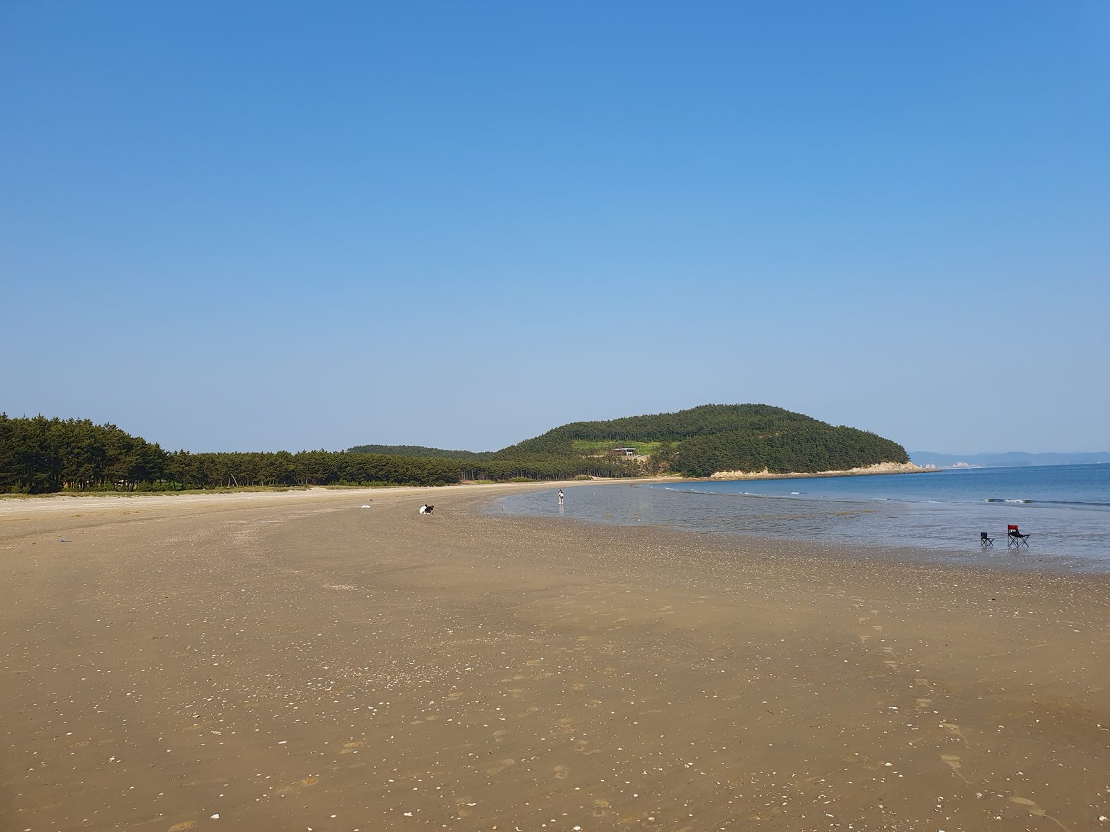 완만하게 굽은 원산도 해안선과 얕은 물