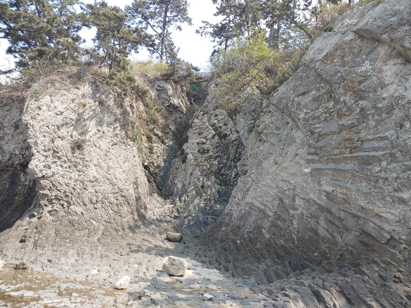 서로 마주 선 해안 바위의 갈라진 결