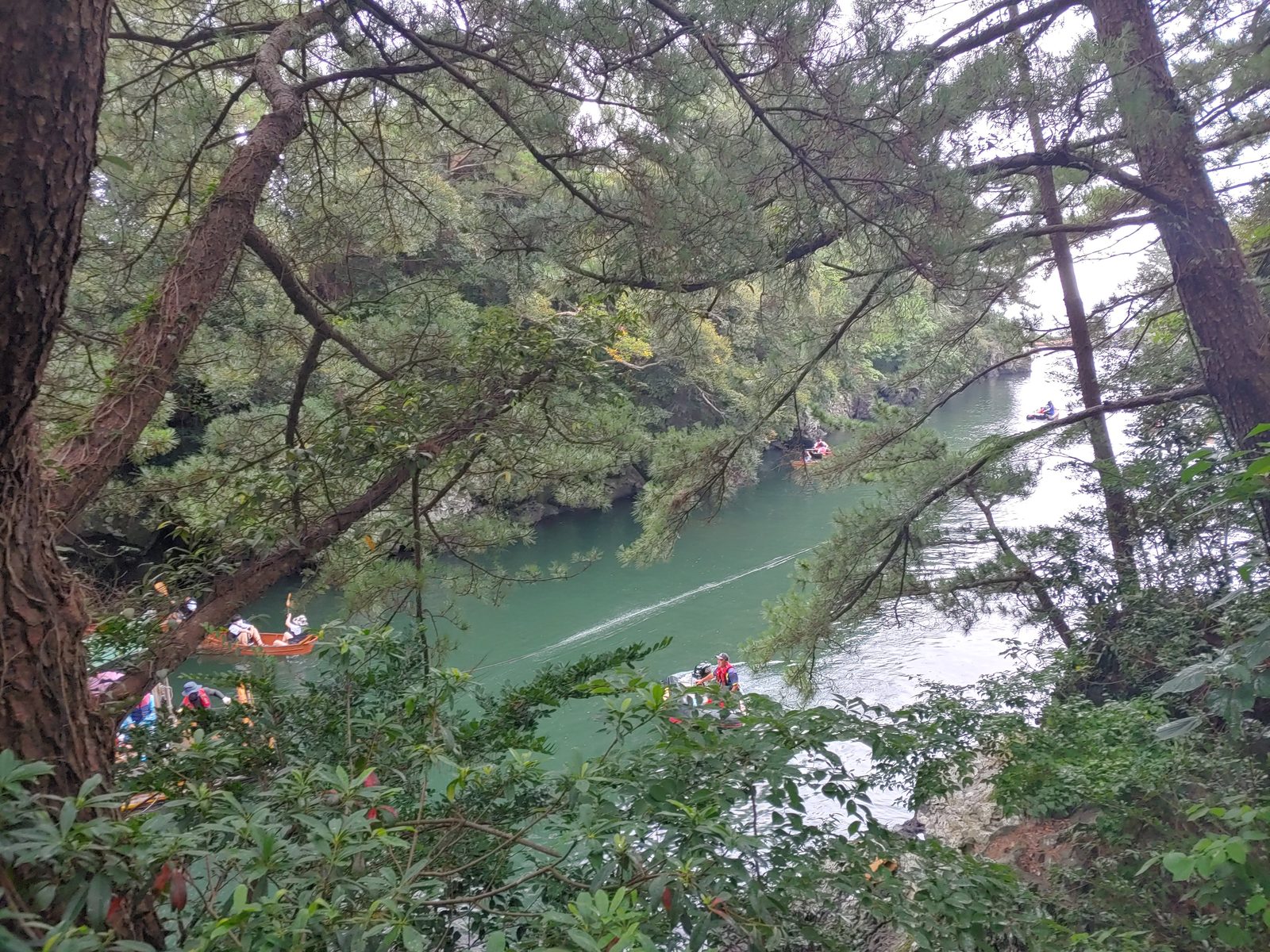 나무 사이로 내려다본 쇠소깍 물길과 배